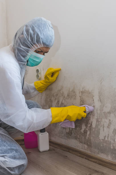 Best Air Quality Testing for Mold Spores  in Socorro, NM