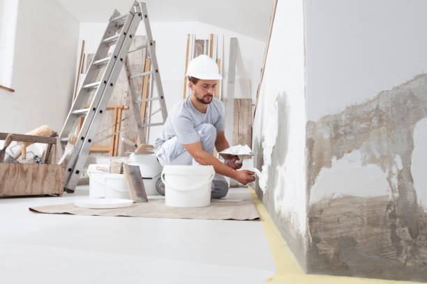 Best Environmental Consulting for Mold Prevention  in Socorro, NM