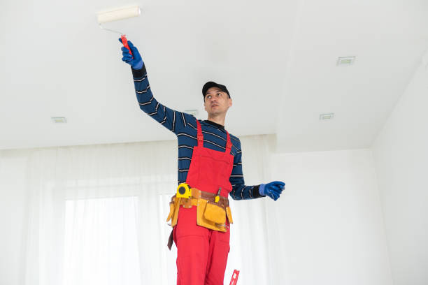 Best Mold Remediation for Healthcare Facilities  in Socorro, NM