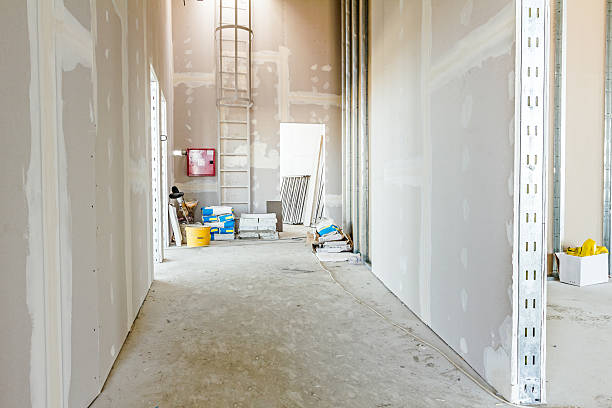 Best Forensic Mold Investigation  in Socorro, NM