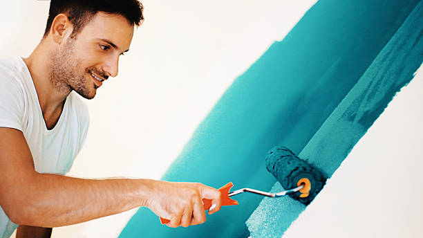 Best Emergency Mold Remediation  in Socorro, NM
